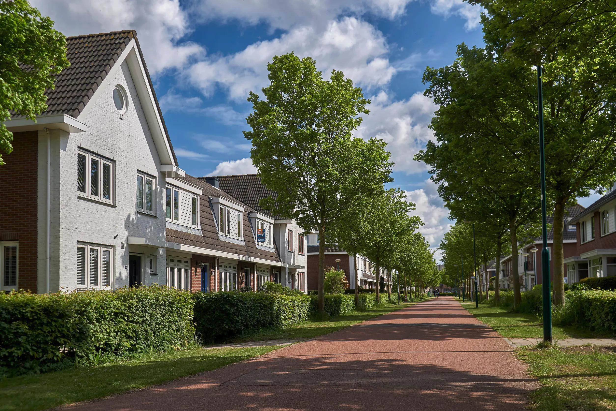 neighborhood in Towson MD